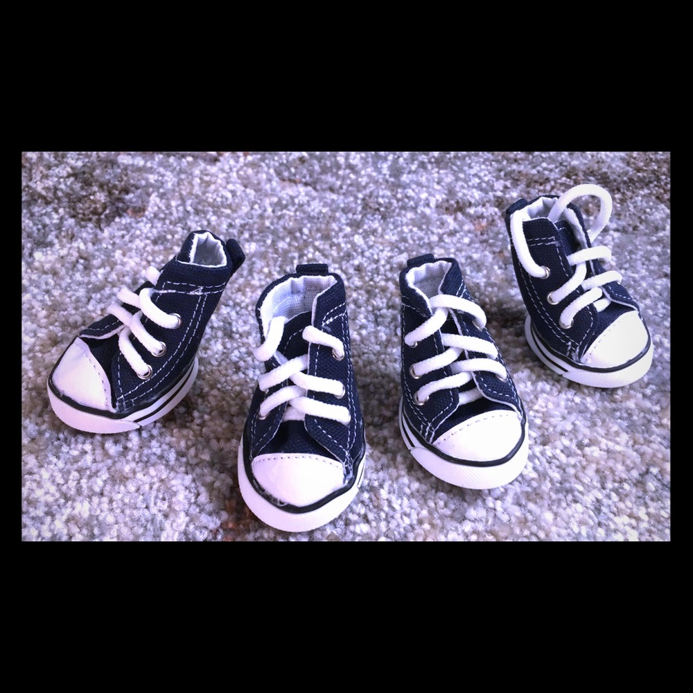 Brand New Dog shoes! For a small dog.